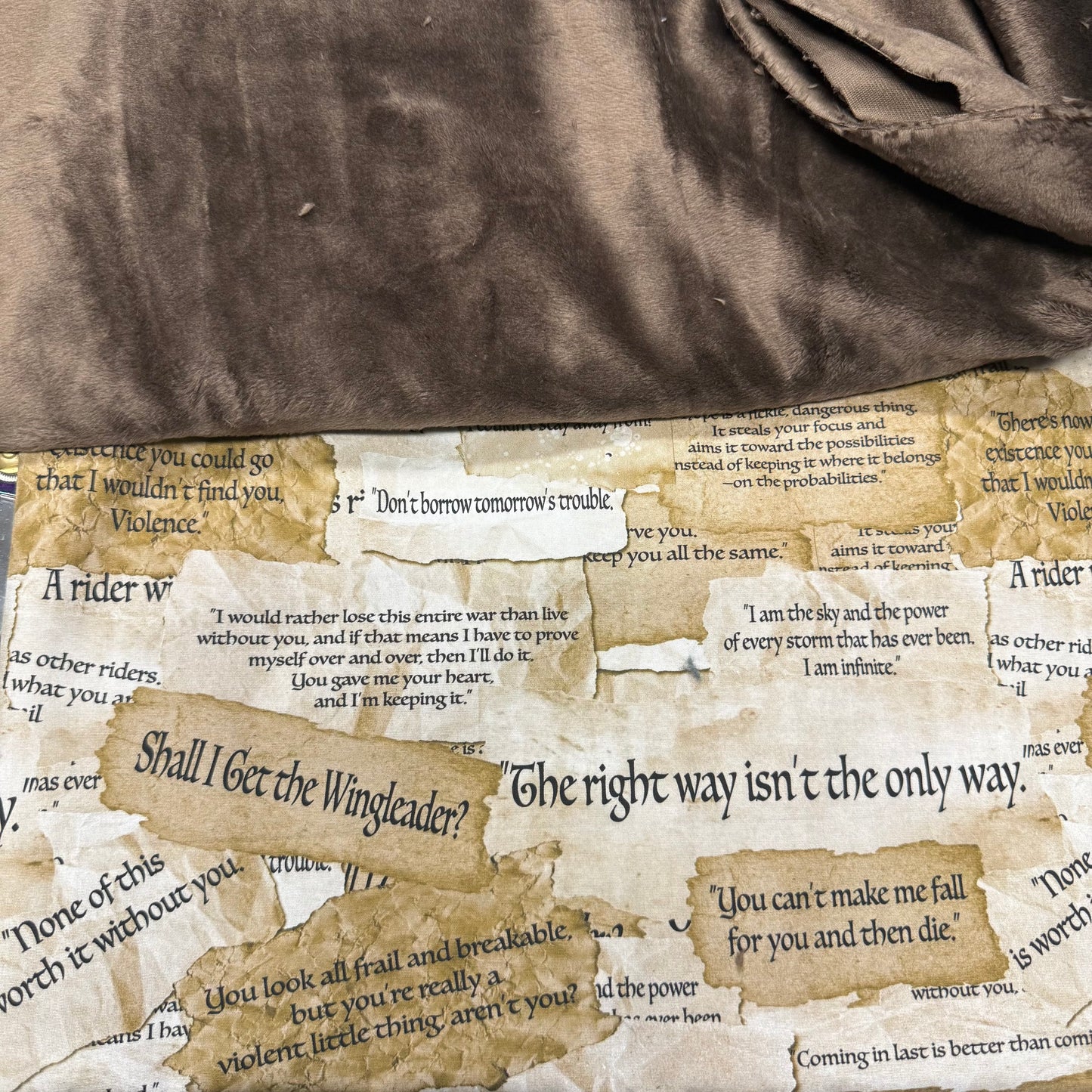 Work in Progress Stockings